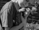 HM_SW20160816_1 HM_SW20160816_1