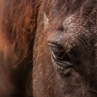 ST-IMG_3151_stephan_tewes