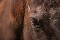 ST-IMG_3151_stephan_tewes