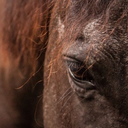 ST-IMG_3151_stephan_tewes