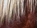 ST-IMG_3177_stephan_tewes ST-IMG_3177_stephan_tewes