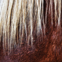 ST-IMG_3177_stephan_tewes