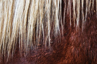 ST-IMG_3177_stephan_tewes