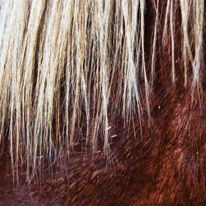 ST-IMG_3177_stephan_tewes