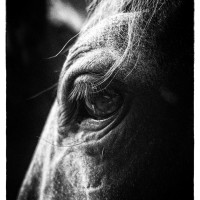 ST-IMG_3189_stephan_tewes