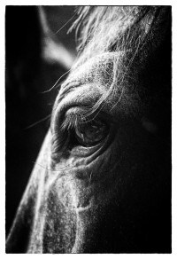 ST-IMG_3189_stephan_tewes