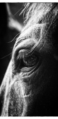 ST-IMG_3189_stephan_tewes