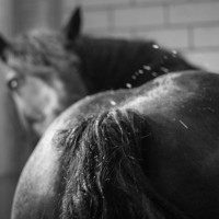 ST-IMG_3233-stephan_tewes