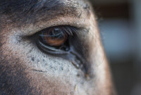 ST-IMG_3270_stephan_tewes