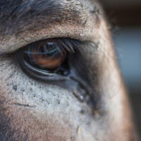 ST-IMG_3270_stephan_tewes