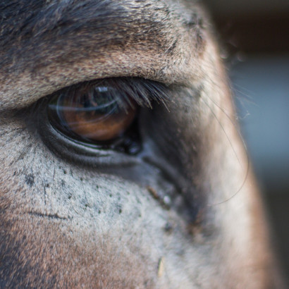 ST-IMG_3270_stephan_tewes