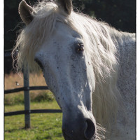 ST-IMG_3288_stephan_tewes