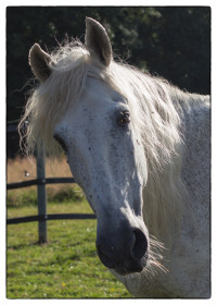 ST-IMG_3288_stephan_tewes