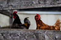 ST-IMG_3498_stephan_tewes