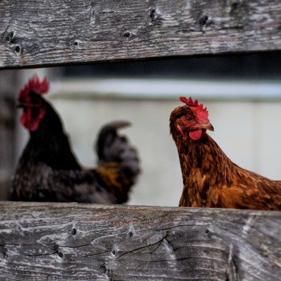 ST-IMG_3498_stephan_tewes