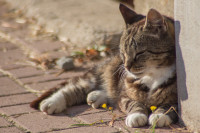 ST-IMG_3577_stephan_tewes