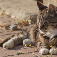 ST-IMG_3577_stephan_tewes