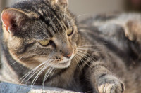 ST-IMG_3582_stephan_tewes