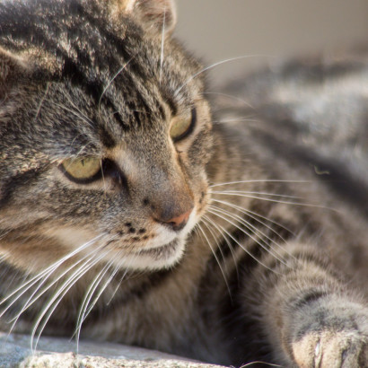 ST-IMG_3582_stephan_tewes