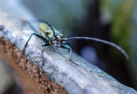 2 2014.07.05. Garten (16)