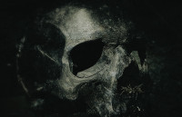 ich muss gleich niesen