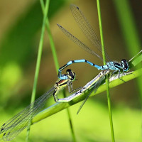 Love is in the Air 2