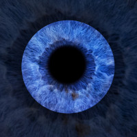 Blaue Iris