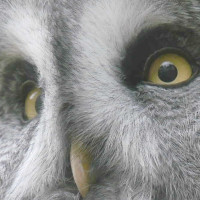 Ich schau ganz genau.