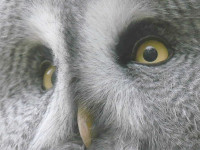 Ich schau ganz genau.