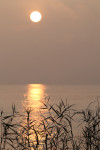 JU_26 JU_26