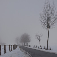 JU_37 JU_37