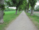 Jakobsweg Aufkirchen Würmsee