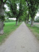 Jakobsweg Aufkirchen Würmsee Jakobsweg Aufkirchen Würmsee