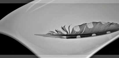 Eckige Schale mit Feder Eckige Schale mit Feder