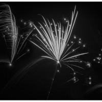 Im Feuerwerk der Kontraste