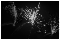 Im Feuerwerk der Kontraste