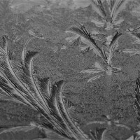 Monika Graszynski-Eisblumen am Fenster