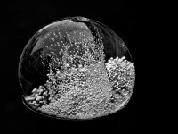 Monika Graszynski-Kugel