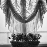 Ruhe hinter Gardinen