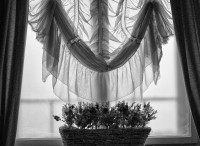 Ruhe hinter Gardinen