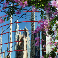Blüten vor Hochhausspiegelung