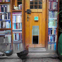 P2040244Hühnerstal1lH