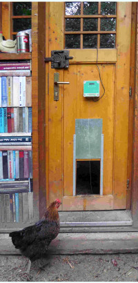 P2040244H&uuml;hnerstal1lH