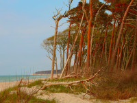 weststrand in herbstfarben