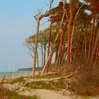 weststrand in herbstfarben
