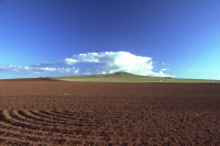 3 australia field scanned