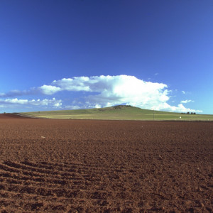 Landscapes