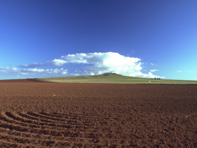Landscapes