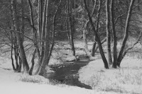 Bachlauf 2 Bachlauf 2