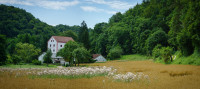 schwambachtal schwambachtal